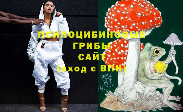 гидра Коряжма