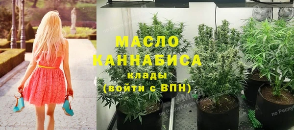 гидра Коряжма