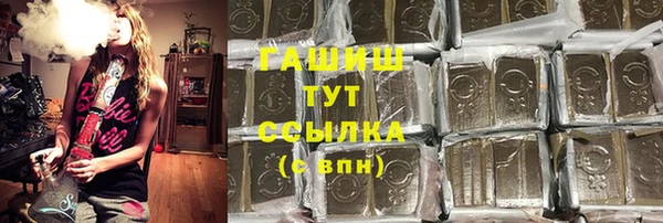молекула духа Козловка