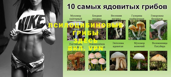 дурь Новоульяновск