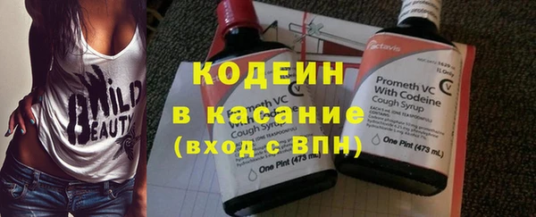 гидра Коряжма