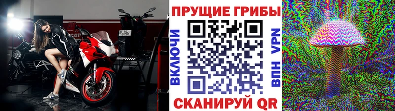 Псилоцибиновые грибы прущие грибы  цена наркотик  Среднеколымск 